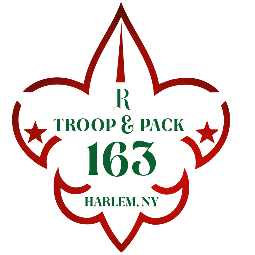 Troop & Pack 163